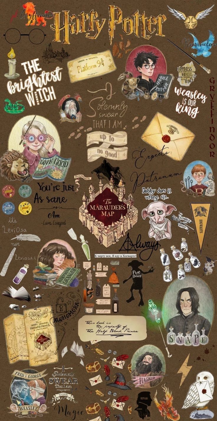 736x1427 Harry Potter Illustration Wallpaper