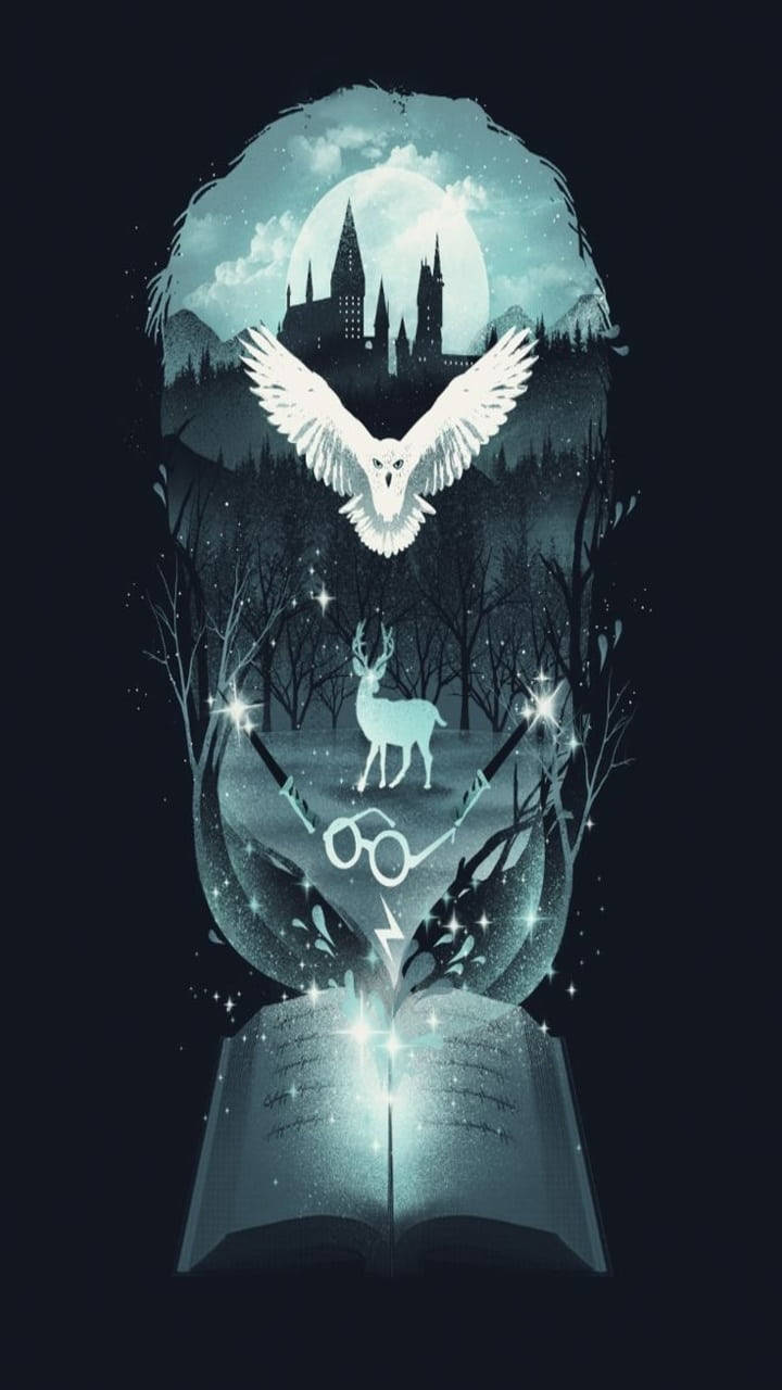 720x1280 Cool Harry Potter HD Wallpaper (100++)