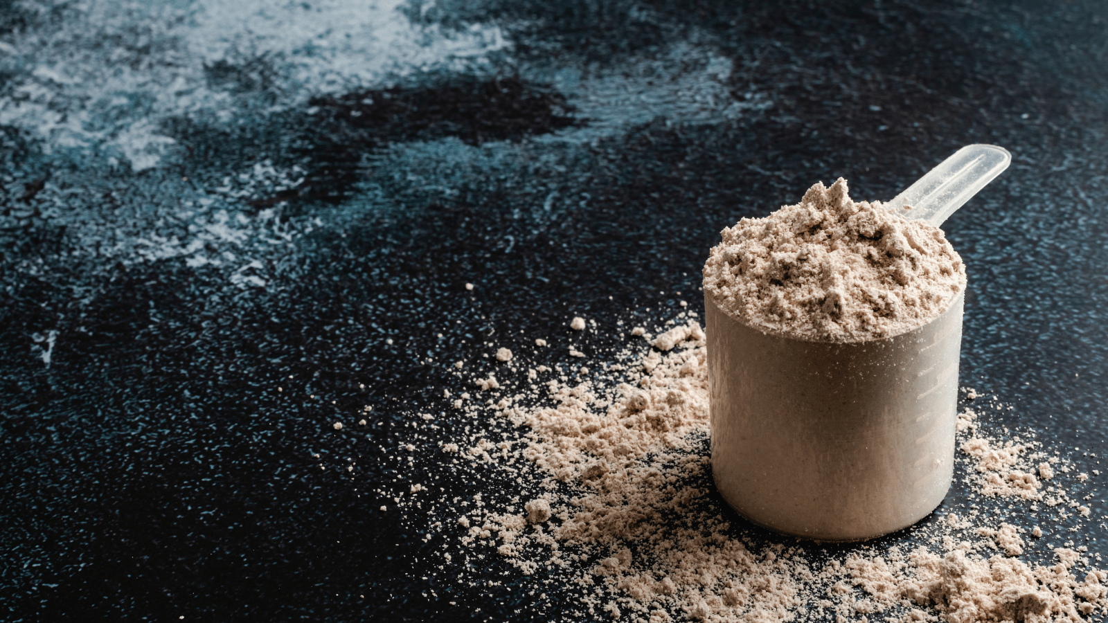 1600x900 The best forms of protein powder, according to science