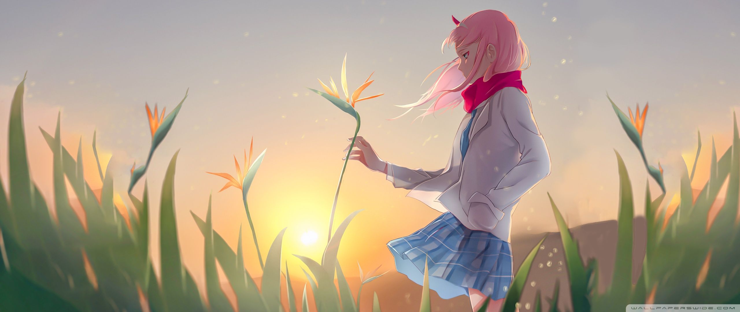 2560x1080 Code:002 4K UHD Wallpaper for UltraHD Desktop and TV : Widescreen and UltraWide Display : Dual Monitor : Smartphone and Tablet Devices