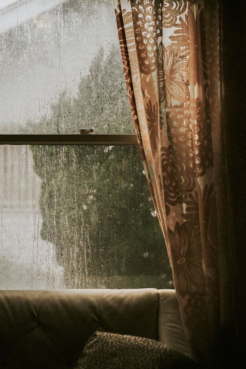 800x1200 Rainy Image Wallpaper