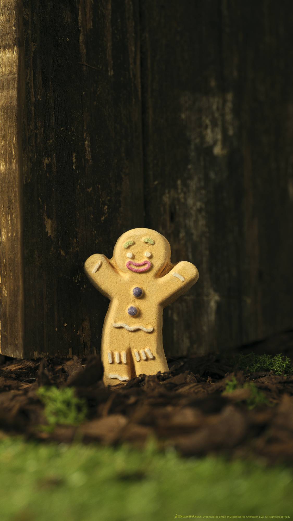 1125x2000 Gingy