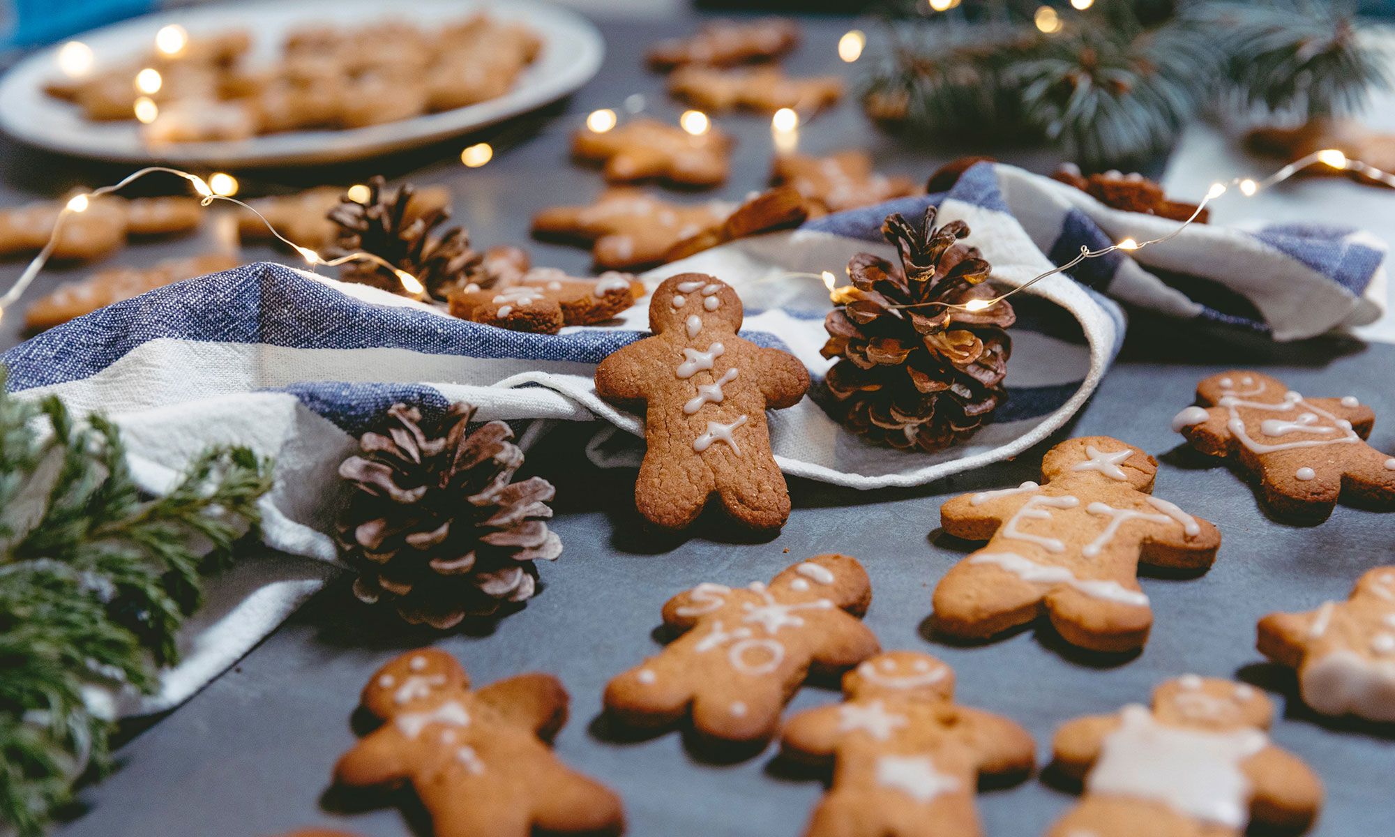 2000x1200 Gingy Archives