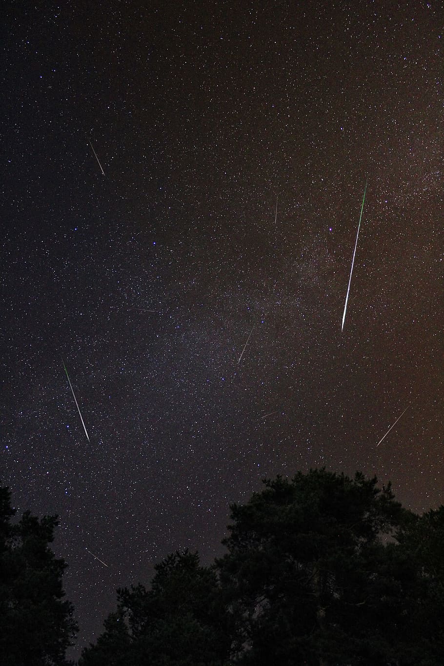 910x1365 The Perseids 1080P, 2K, 4K, 5K HD wallpaper free download