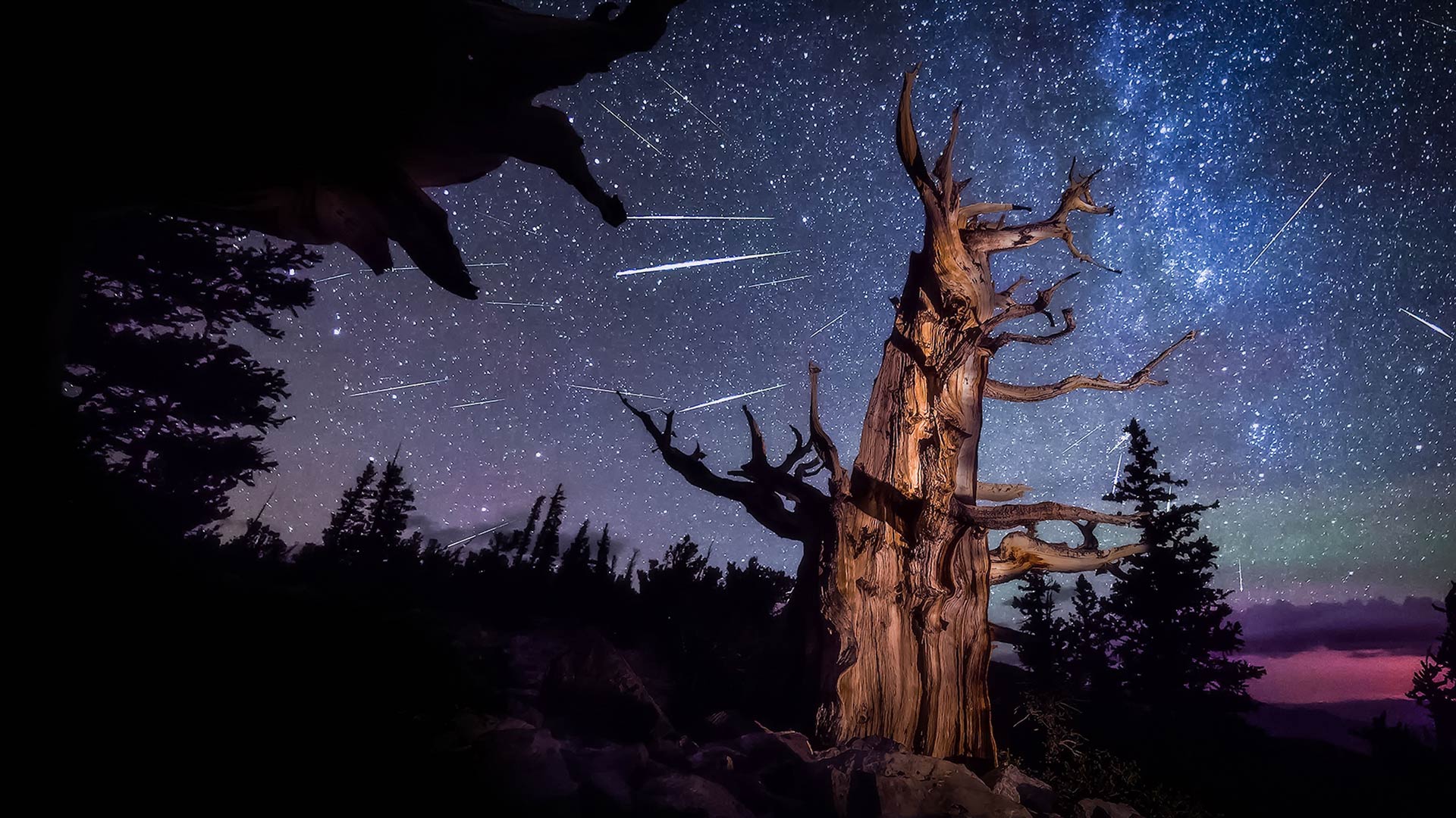 1920x1080 Bing HD Wallpaper Jul 2025: Perseid meteor shower over Nevada Wallpaper Gallery