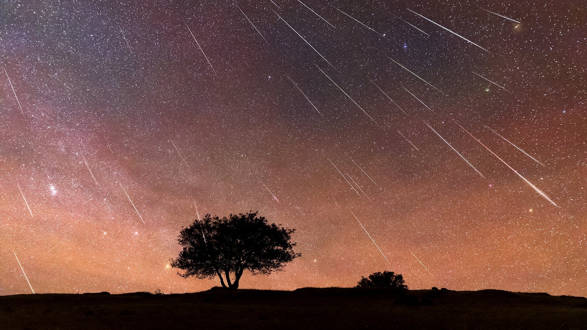 1920x1080 Perseid Meteor Shower 2026: Visibility Map, Dates, Peak. Meteor Shower August 2026