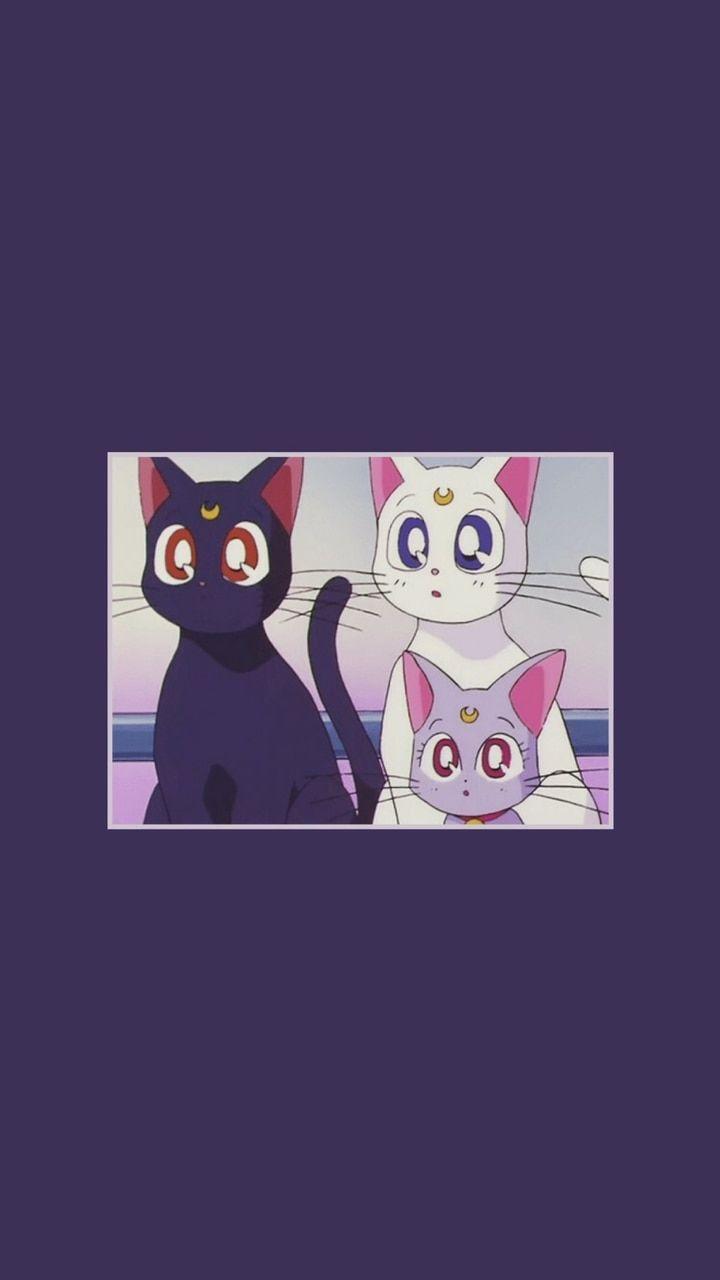 Sailor Moon Luna Wallpapers Top Free Sailor Moon Luna Backgrounds Wallpaperaccess