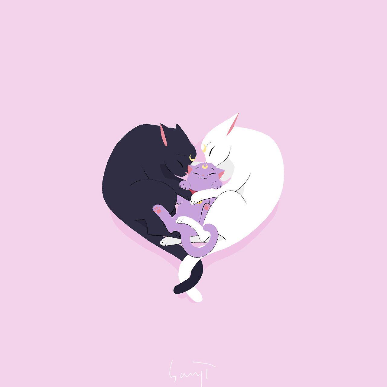 Sailor Moon Artemis Wallpapers Top Free Sailor Moon Artemis Backgrounds Wallpaperaccess