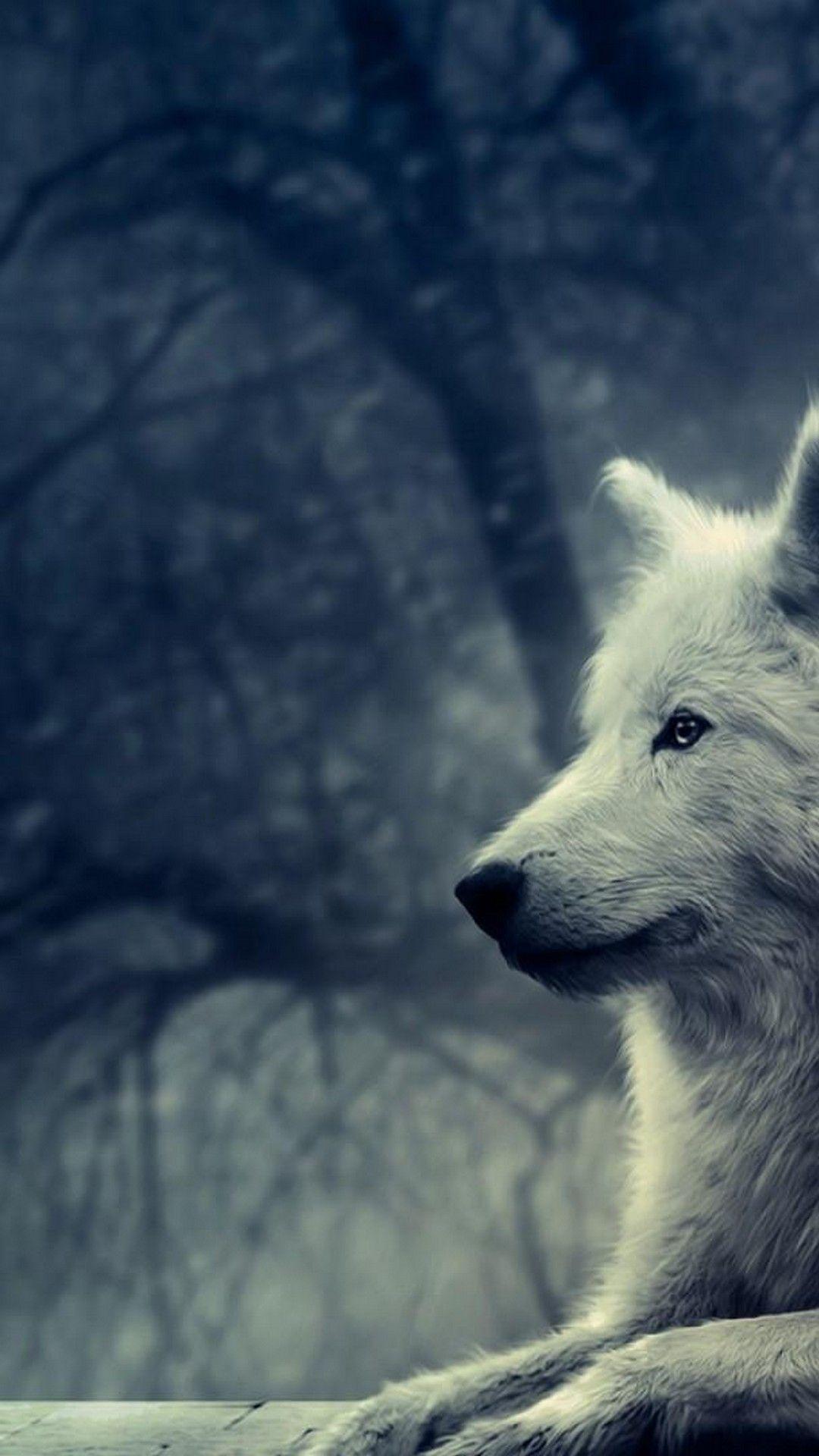 1080x1920 Cool Wolf iPhone 6 Wallpaper HD Phone Wallpaper HD