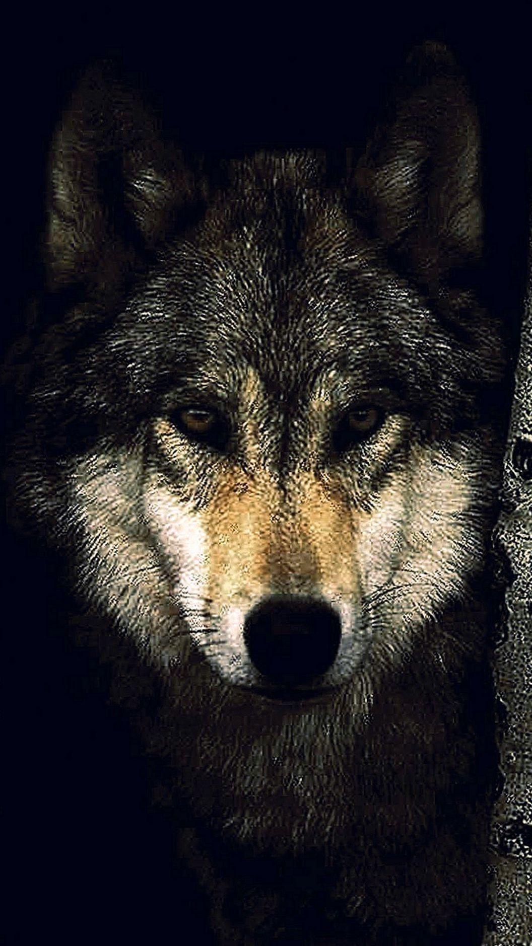 1056x1879 IPhone 6S Plus Wolf Wallpaper Wallpaper.Pro