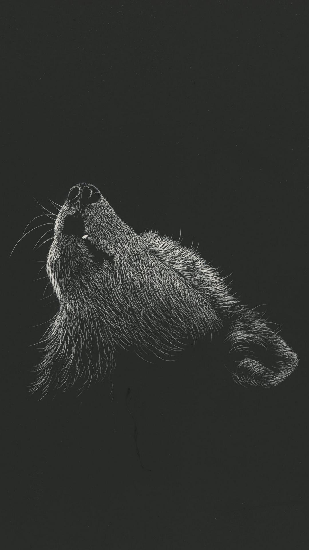 1080x1920 Wolf Wallpaper Wolf Background Download [ HD ]