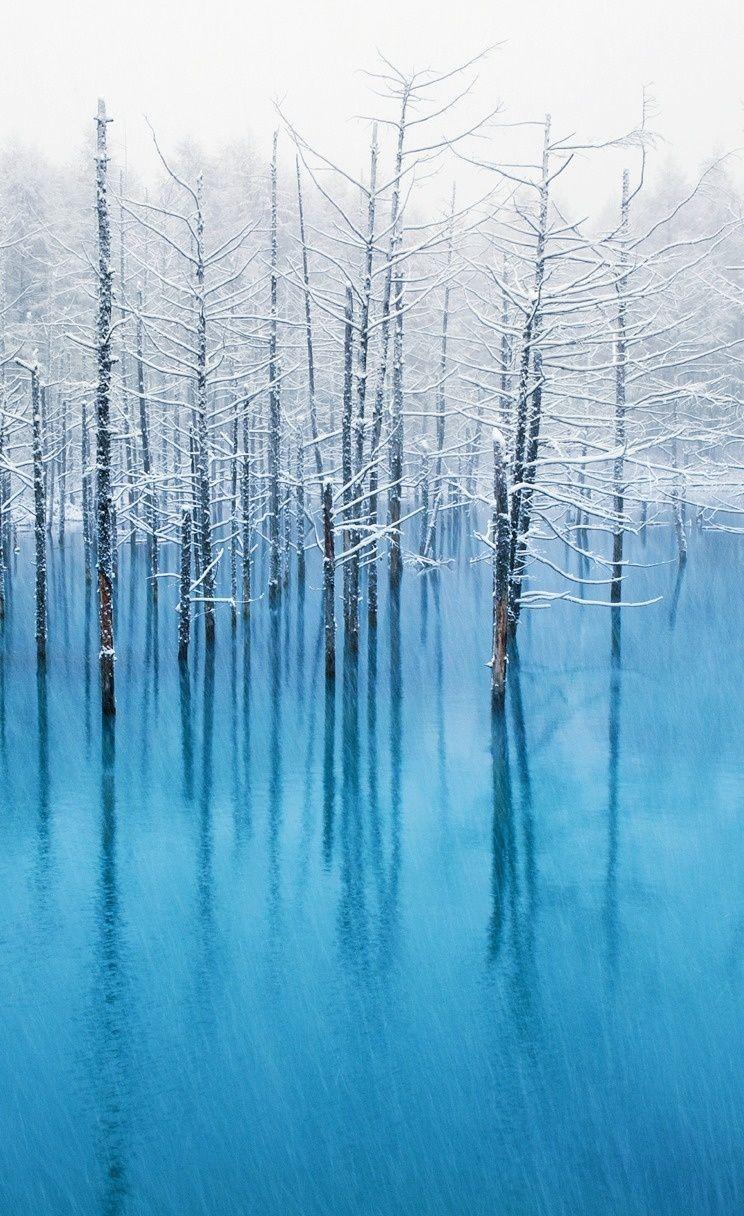 744x1216 Ice Tree scenery wallpaper. #snow #landscape