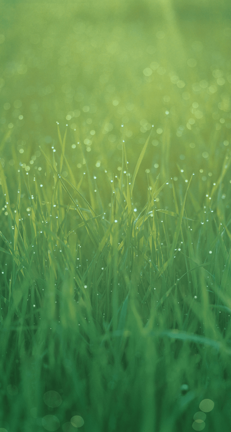 744x1392 Download iOS 7 Wallpaper for iPhone and iPod touch