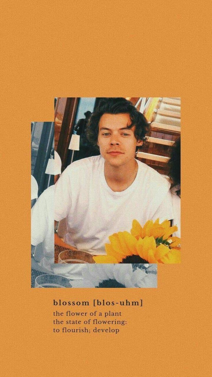 720x1280 Harry lockscreen discovered