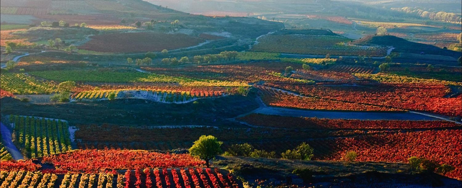 1500x611 Spain Wine Tour September 13- 2025
