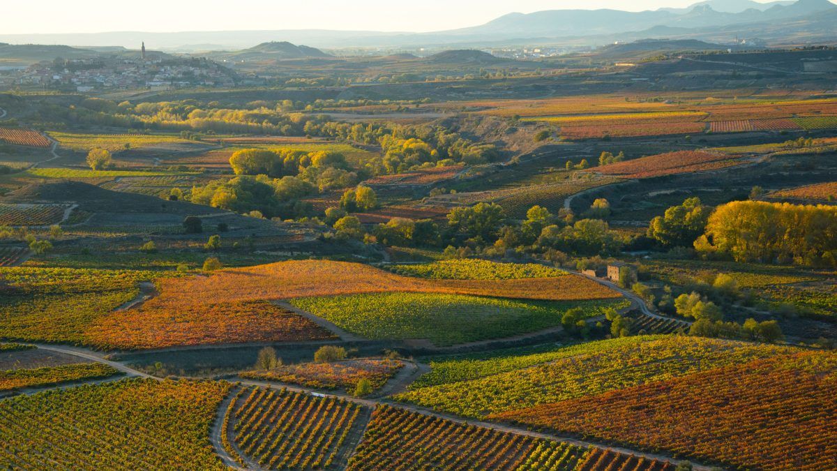 1200x675 Geography and terroirs of Rioja Regulador DOCa Rioja