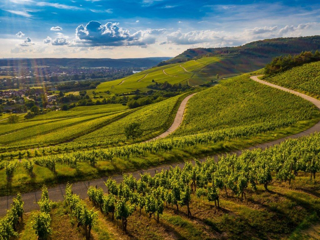 1024x768 The climate and soil of La Rioja wines. Vinícola Real