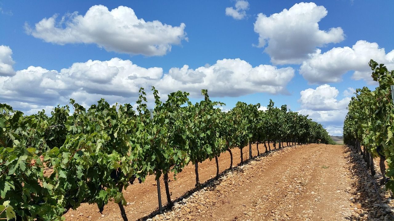 1280x720 Free La Rioja & Rioja Image