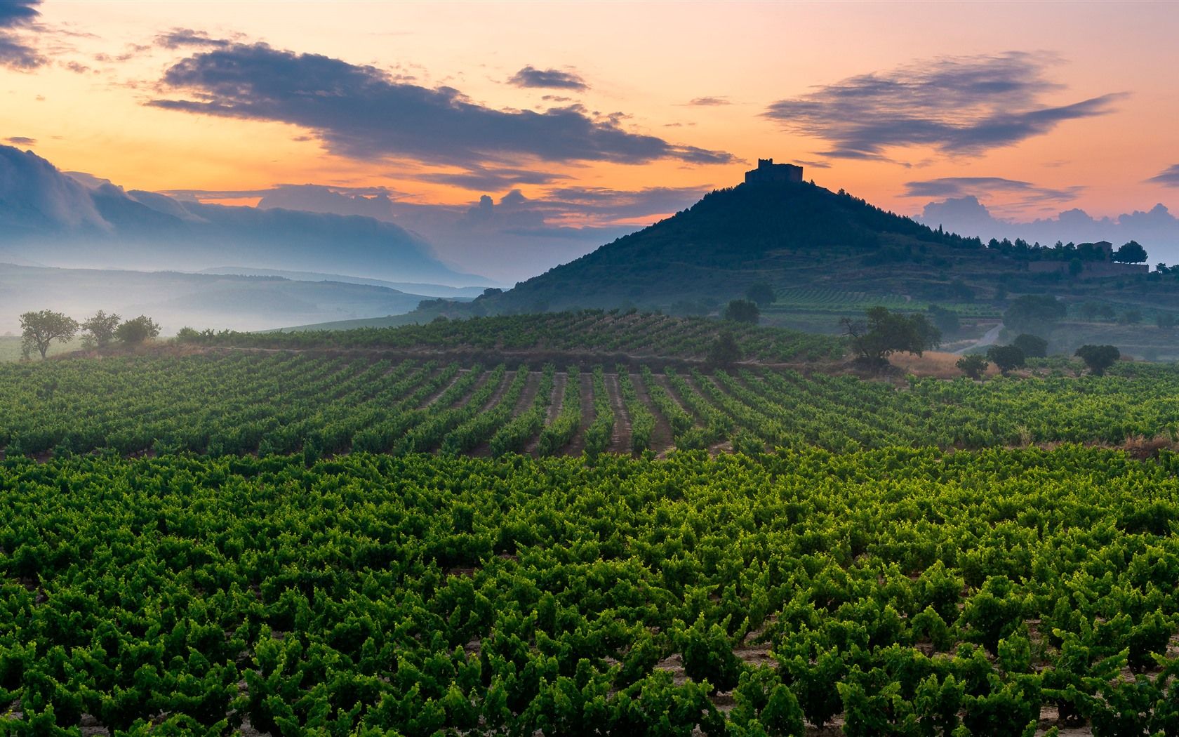 1680x1050 Vineyard Davalillo Castle San Asensio La Rioja Spain Bing 4K