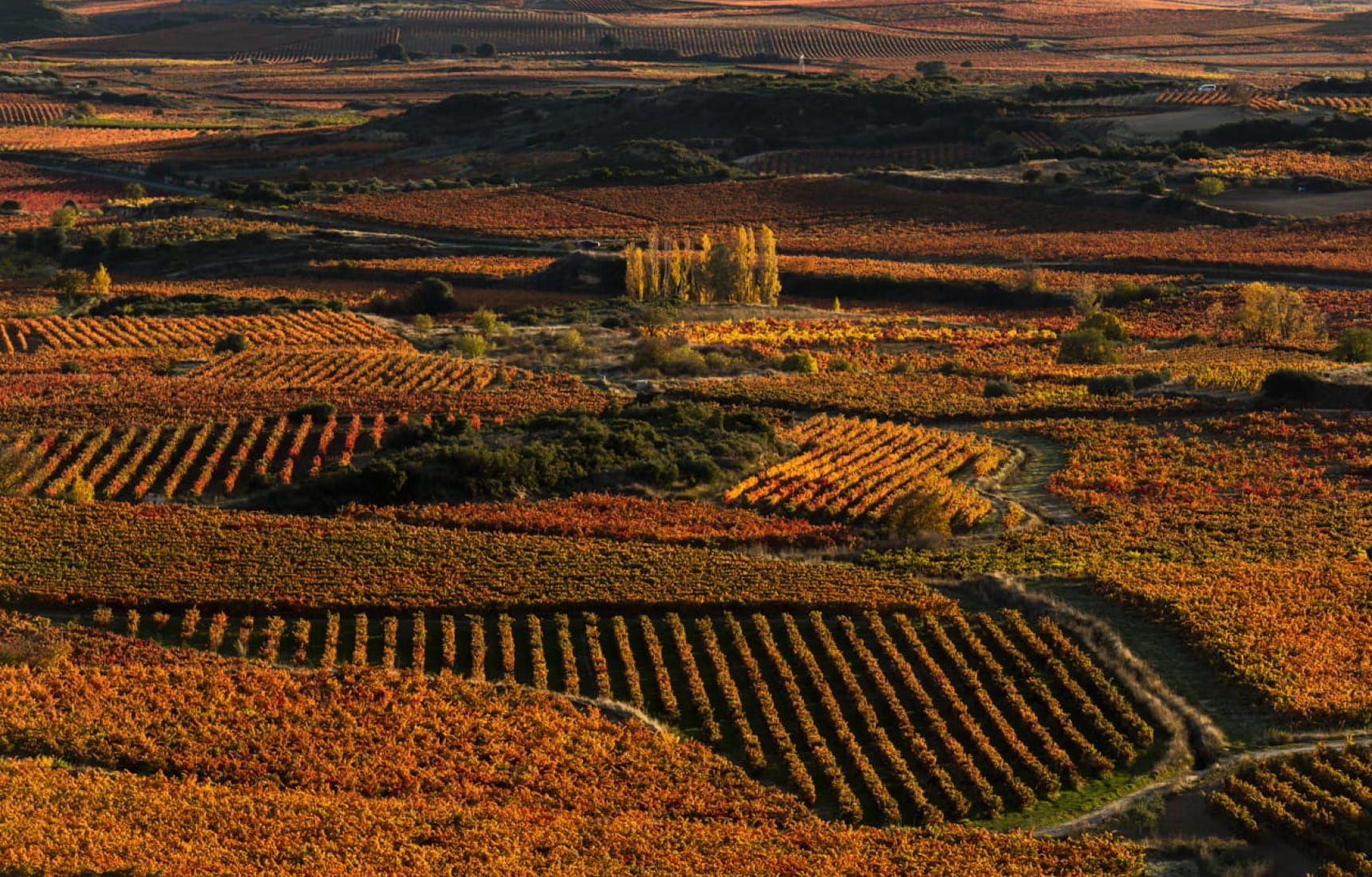 1720x1100 Win a case of top quality rioja. Matching Food & Wine
