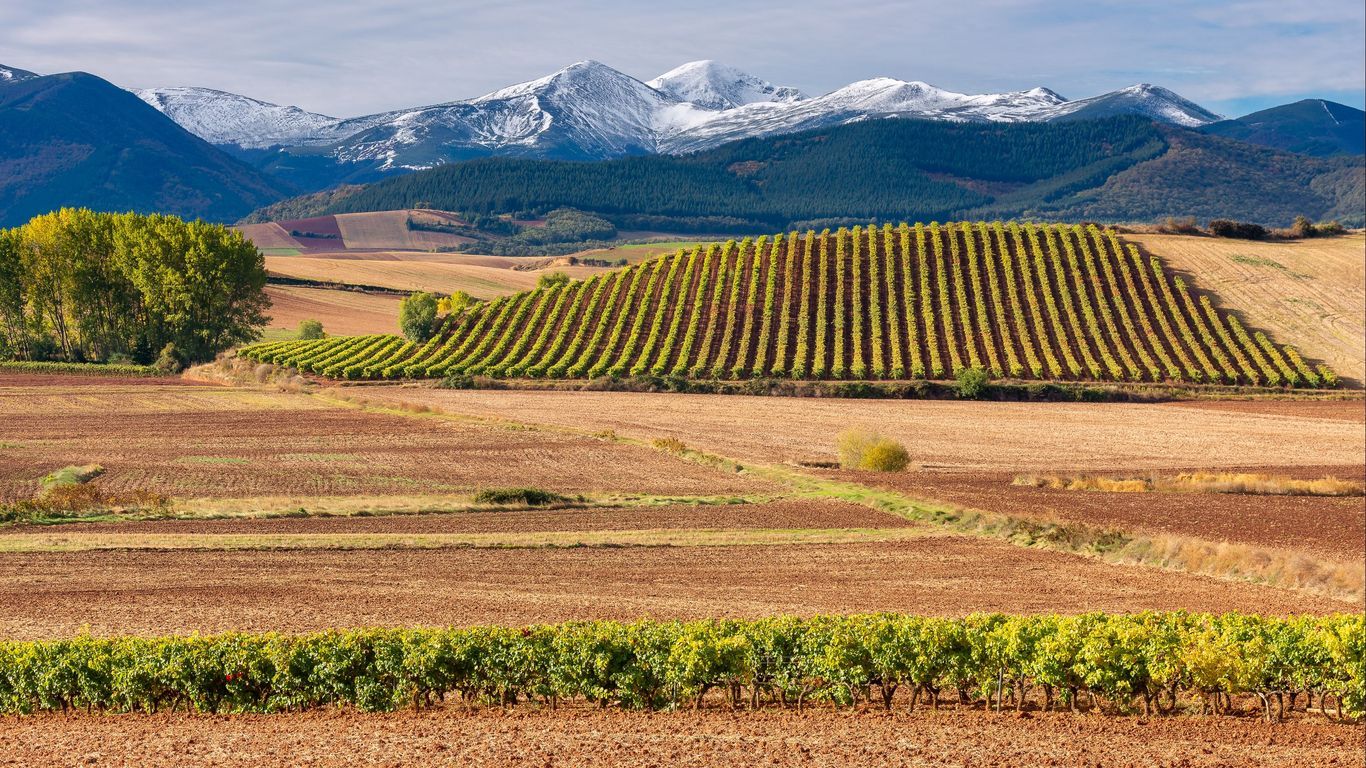 1366x768 Car Rentals In La Rioja From $21 Day For Rental Cars On KAYAK