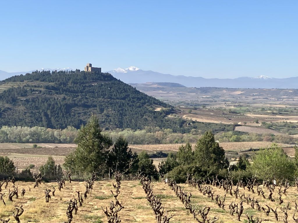 1024x768 Rioja Wine Viewpoints: The Taste of Landscape Wine Capitals
