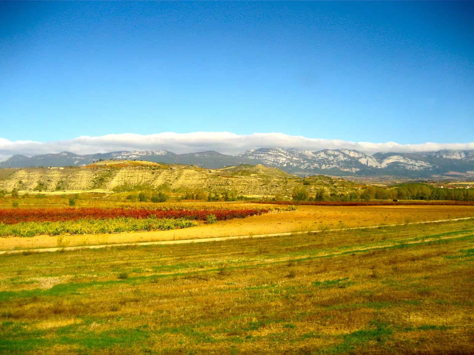 1600x1200 Why I Chose La Rioja, or Why La Rioja Chose Me