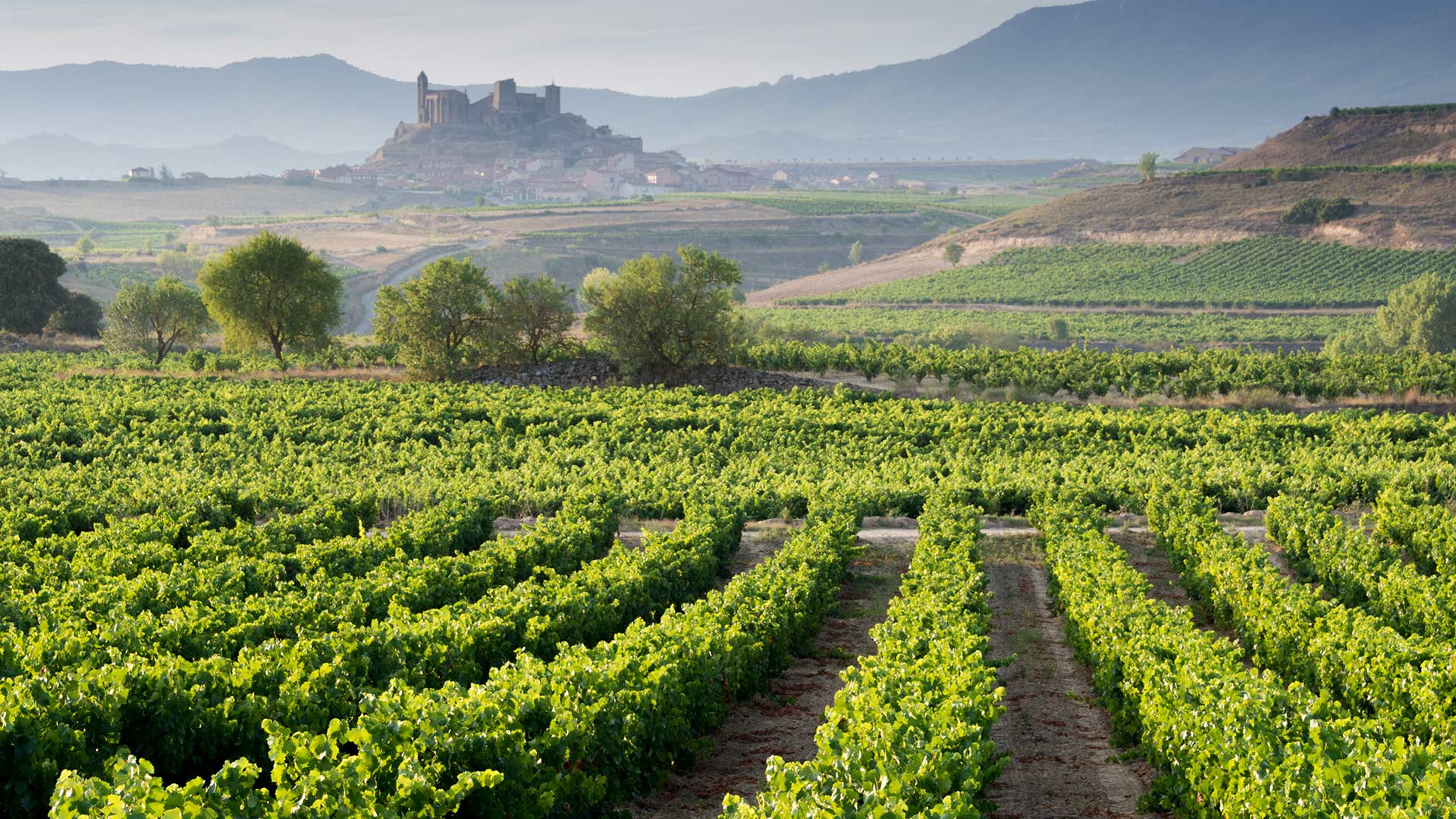 1920x1080 Discovering Rioja, a region of Spain shaped