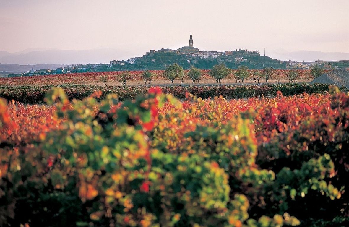 1181x768 Rioja: Four Exciting Trends to look out for