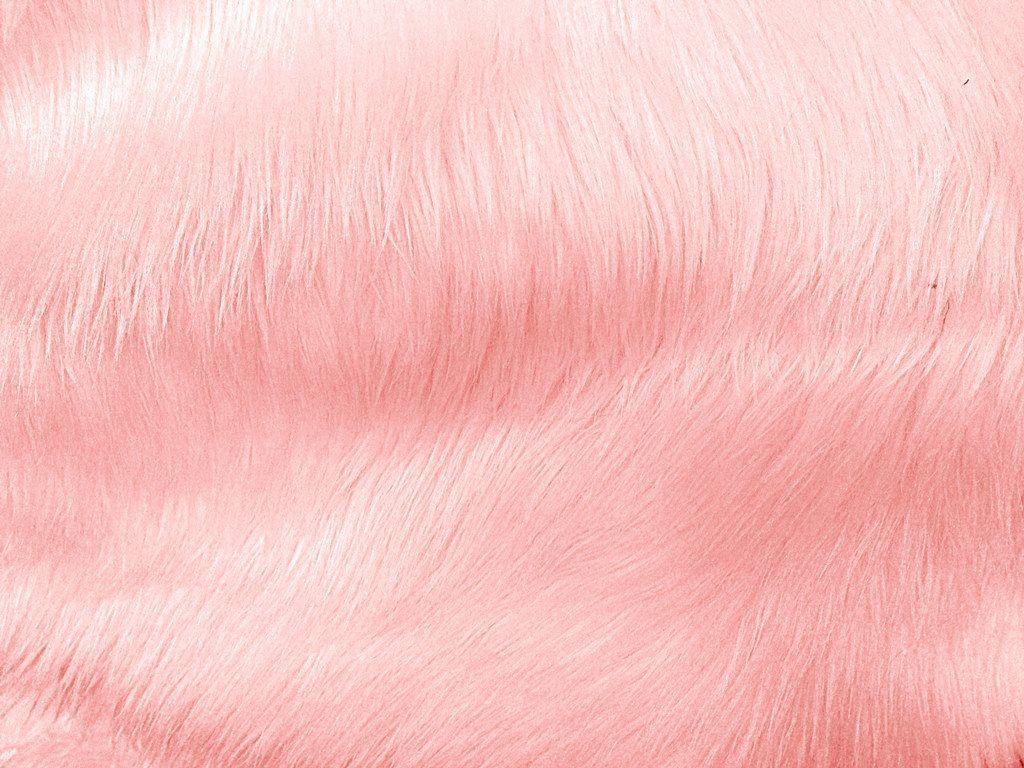 1024x768 Fur Wallpaper Unique Aesthetic Background TumblrDownload Free Awesome HD Background for Desktop Puters and Inspiration of The Hudson