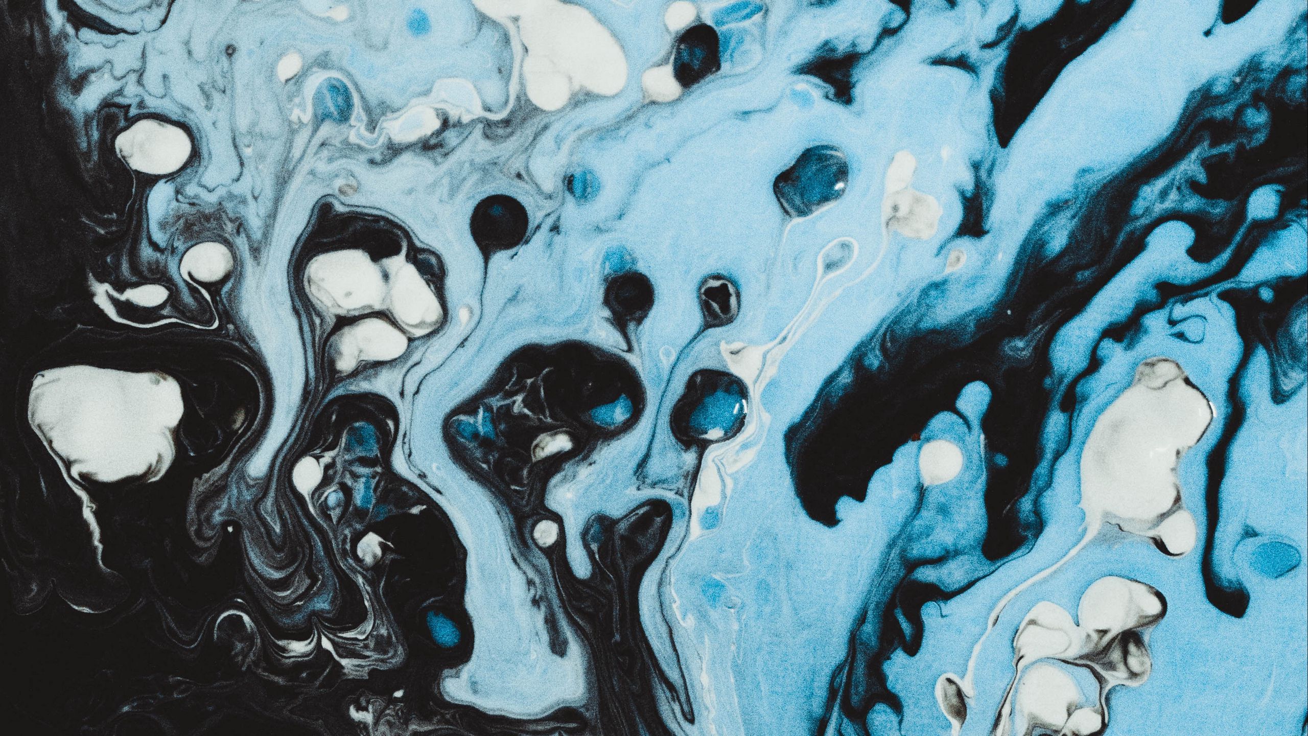 2560x1440 Download wallpaper 2560x1440 paint, stains, blue, black, spots, lines, drips widescreen 16:9 HD background