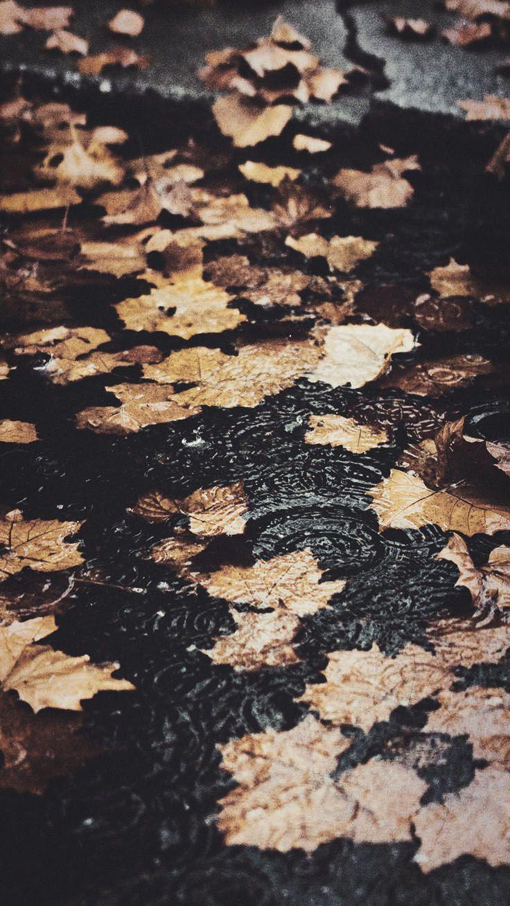 Fall Rain Wallpapers - Top Free Fall Rain Backgrounds - WallpaperAccess