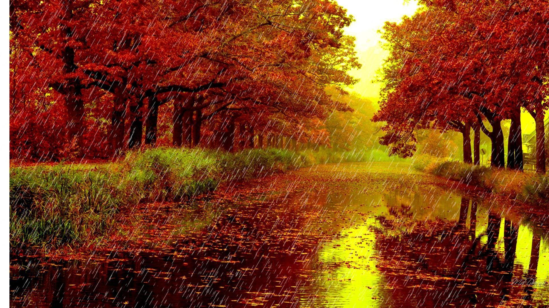 1920x1080 Free Widescreen HD Wallpaper Fall