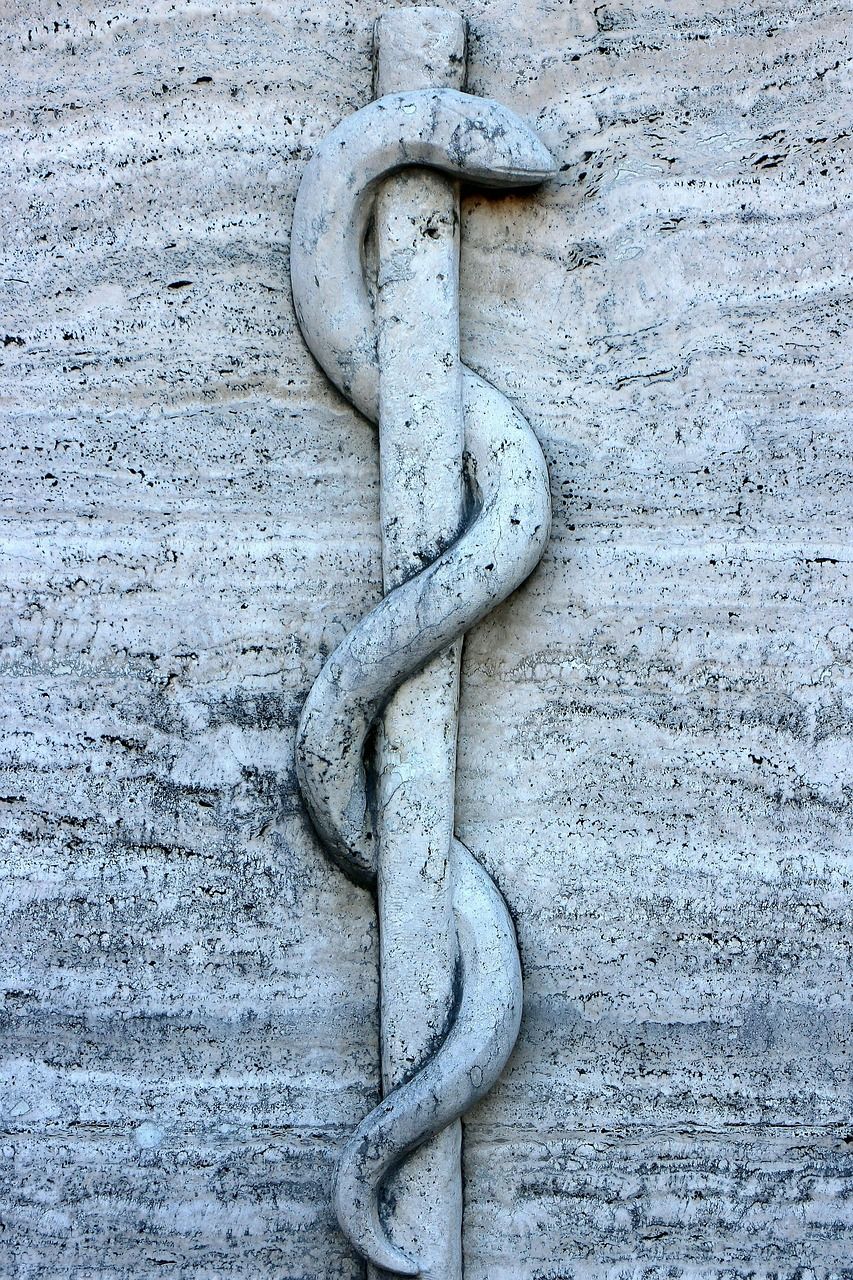 853x1280 Free Rod Of Asclepius & Fishing Rod Image