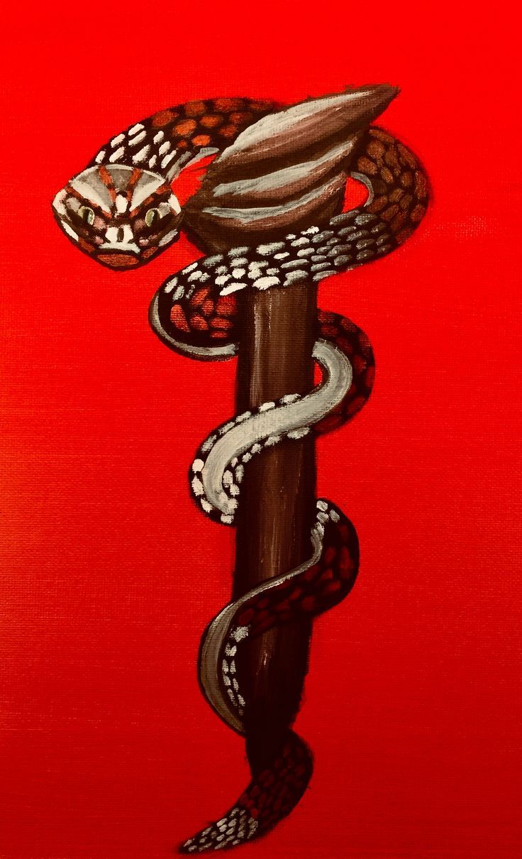 736x1210 Vara de Asclepio Art. Asclepius snake tattoo, The rod of asclepius tattoo, Rod of