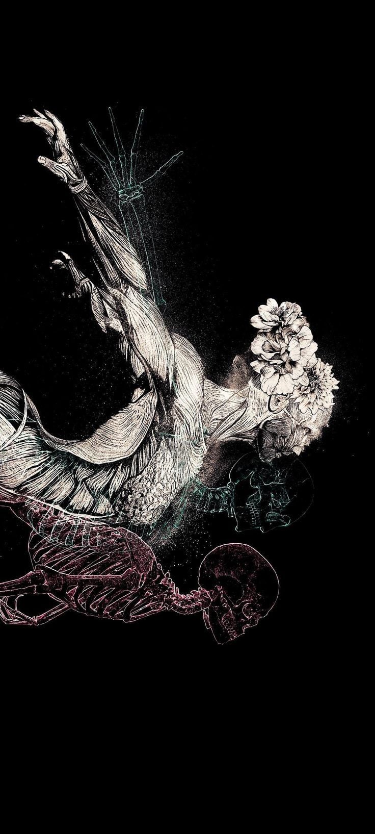 736x1635 Arm wallpaper. Anatomy phone wallpaper, Rod of asclepius wallpaper, Dark art illustrations