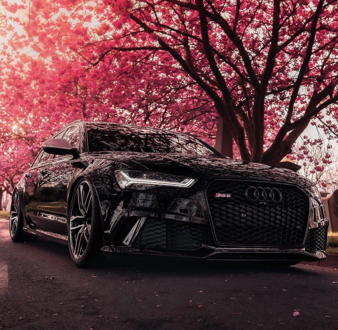 1169x1140 Audi RS6 Black Wallpaper