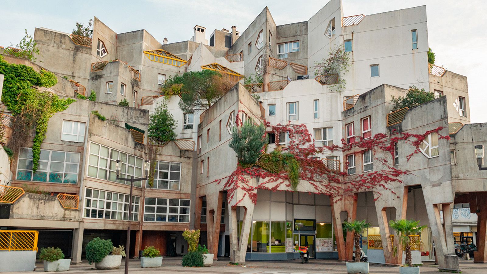 1600x900 Brutalist Plants' Is A New Book Focused On Eco Brutalism. Wallpaper*