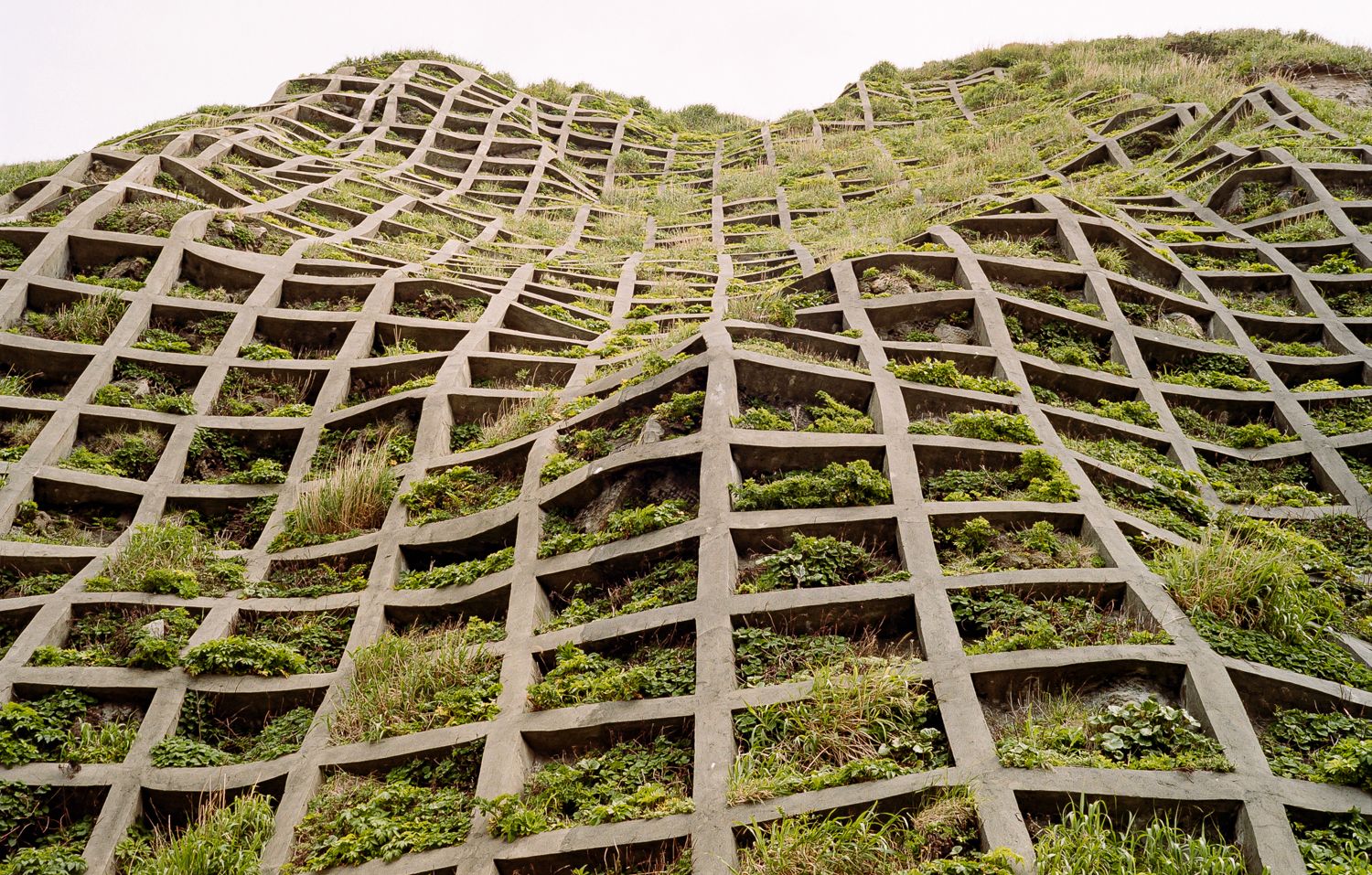 1500x957 Eco Brutalism: Inside The Green Monoliths Of The Movement. Wallpaper*