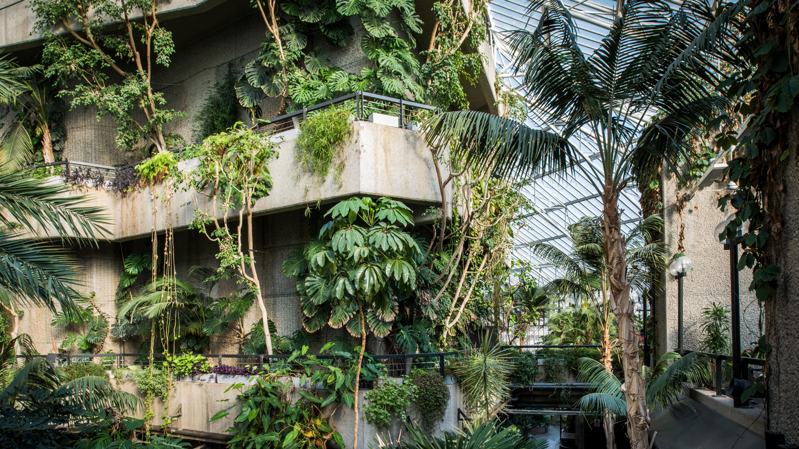 1600x900 What Is Eco Brutalism? And How To Get The Look. Homes And Gardens