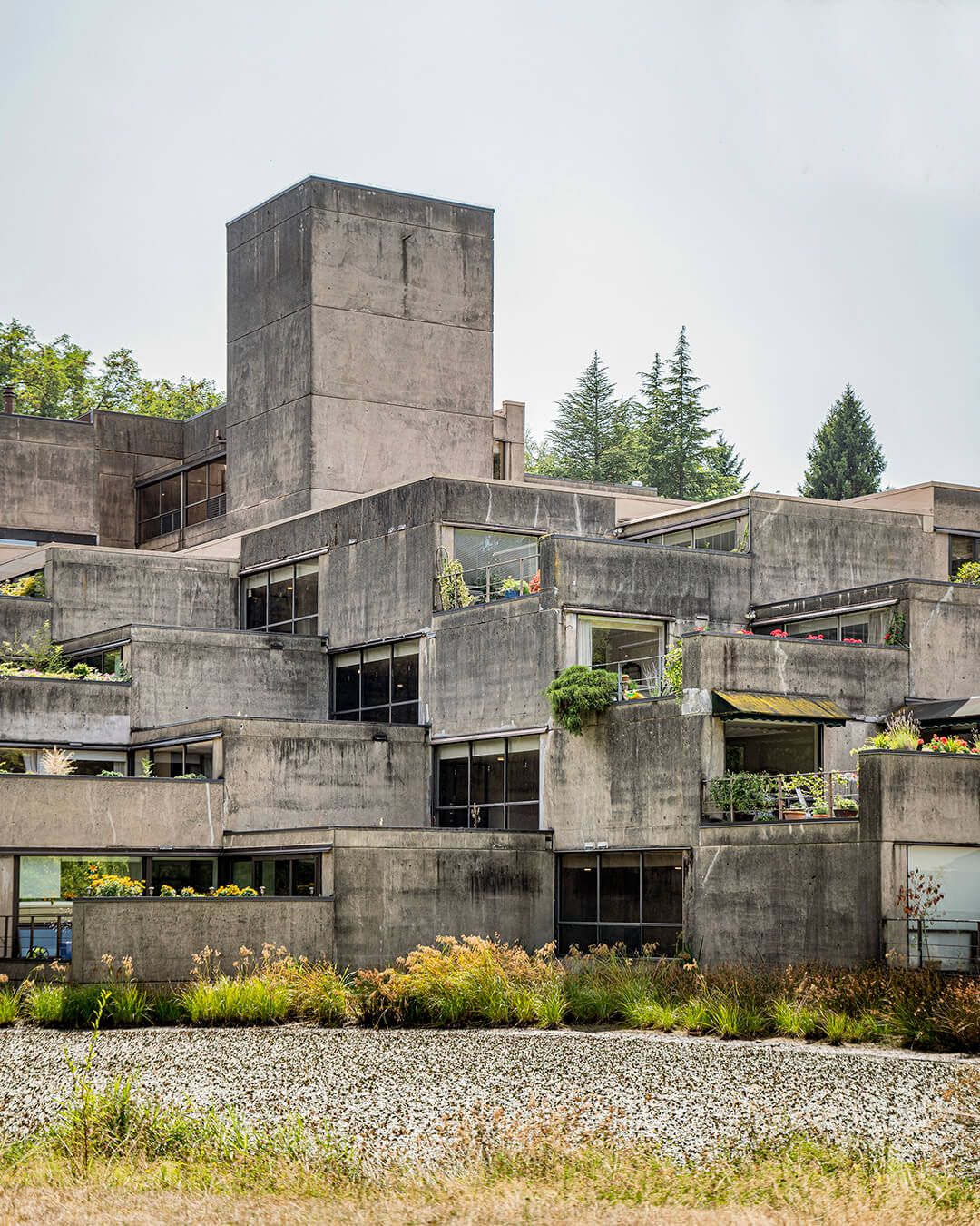 1080x1350 Brutalist Plants' Visually Chronicles Eco Brutalist Aesthetics On A Global Scale