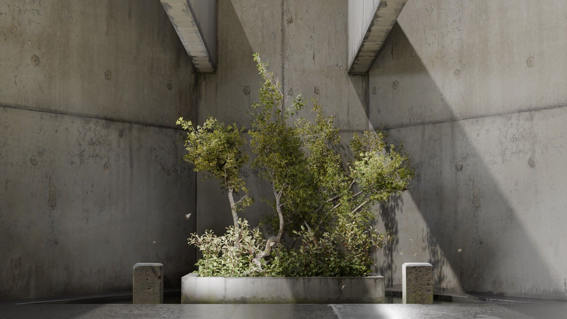 1920x1080 ECO BRUTALISM