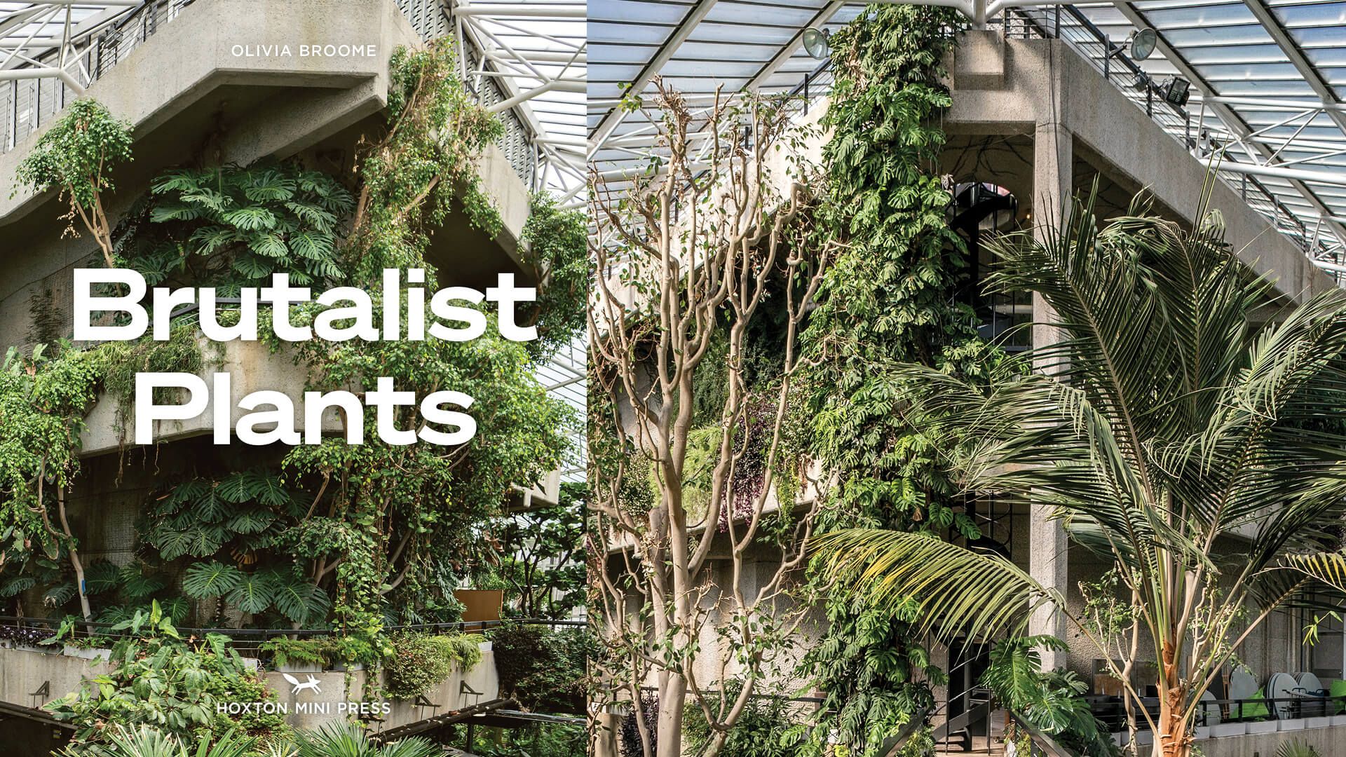 1920x1080 Brutalist Plants' Visually Chronicles Eco Brutalist Aesthetics On A Global Scale