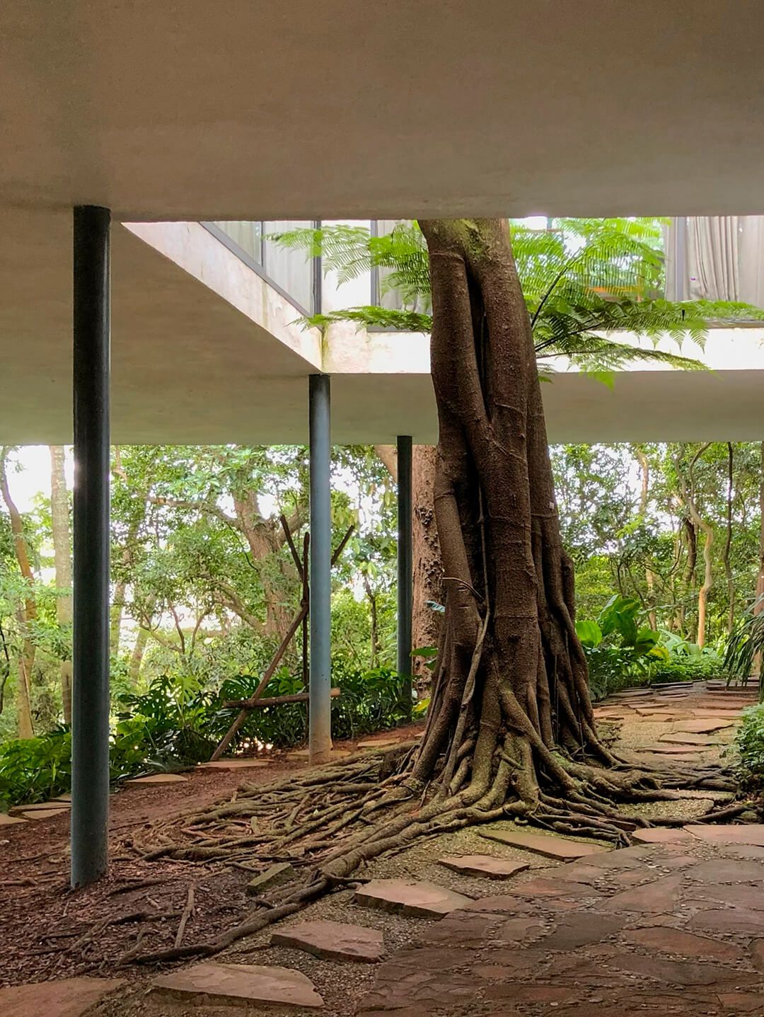 1080x1437 Brutalist Plants' Visually Chronicles Eco Brutalist Aesthetics On A Global Scale