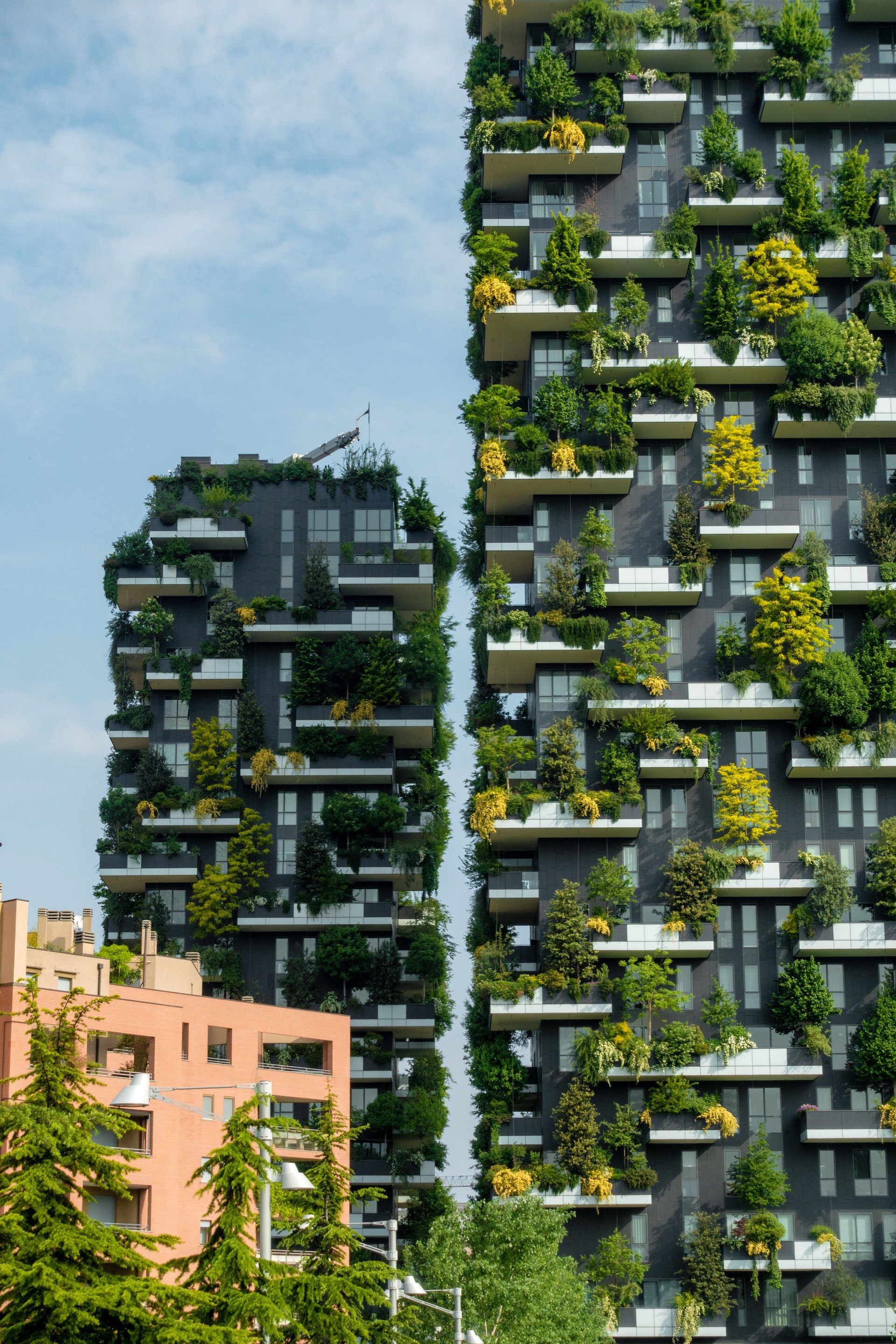1920x2880 Things to know about Eco Brutalism Walks Blog