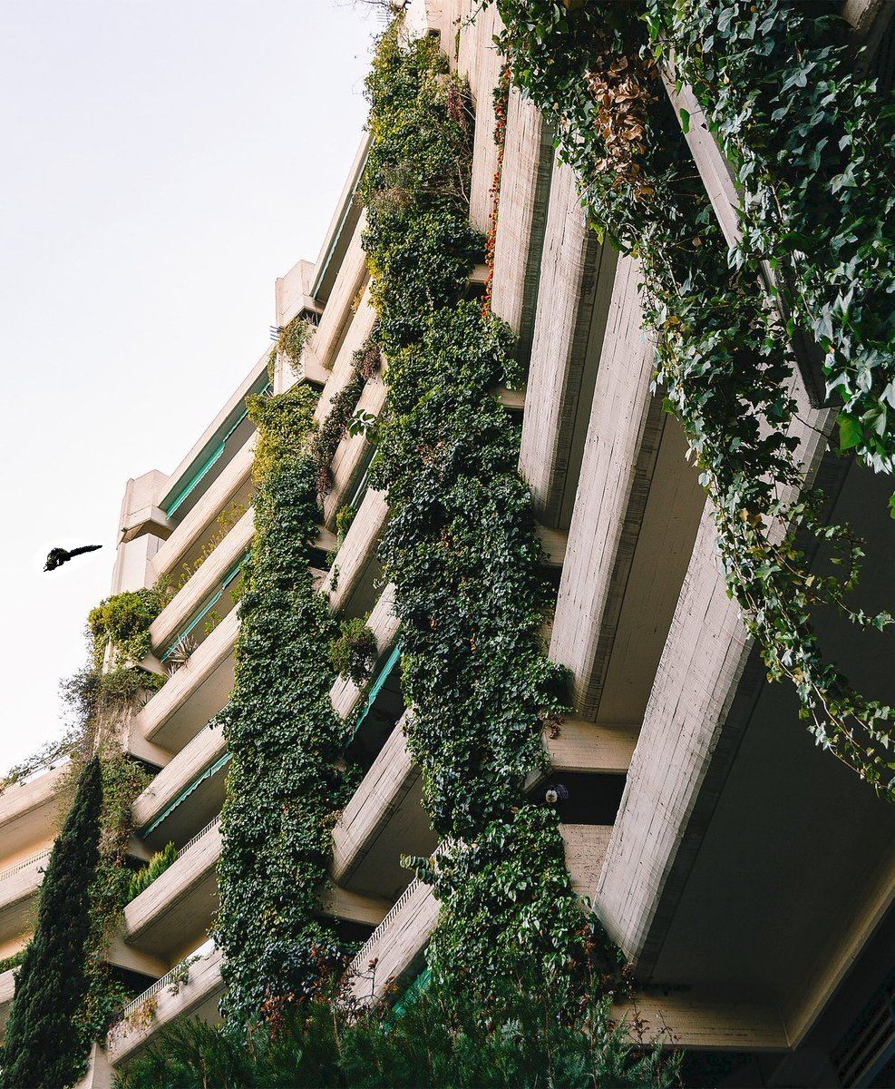 987x1200 So How About Eco Brutalism? Brutalism With Trees. Look At These Image Carefully