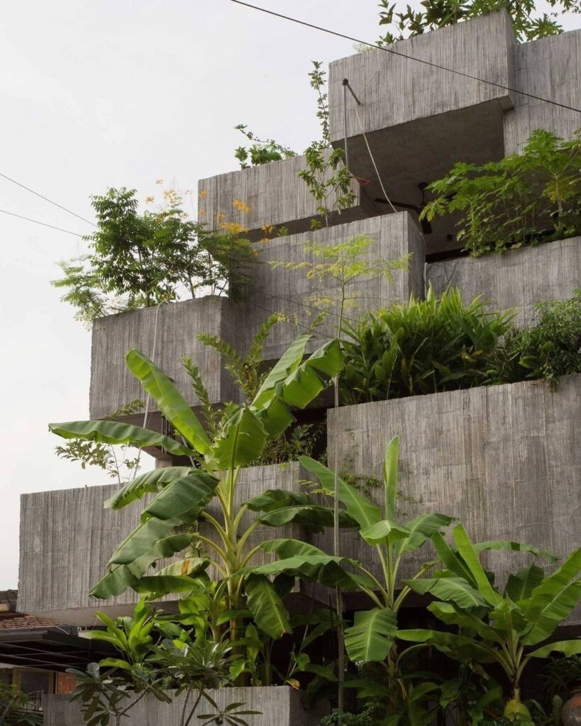 819x1024 A Beginner's Guide To The Art Of Brutalism With Plants. Jay Scotts Collection