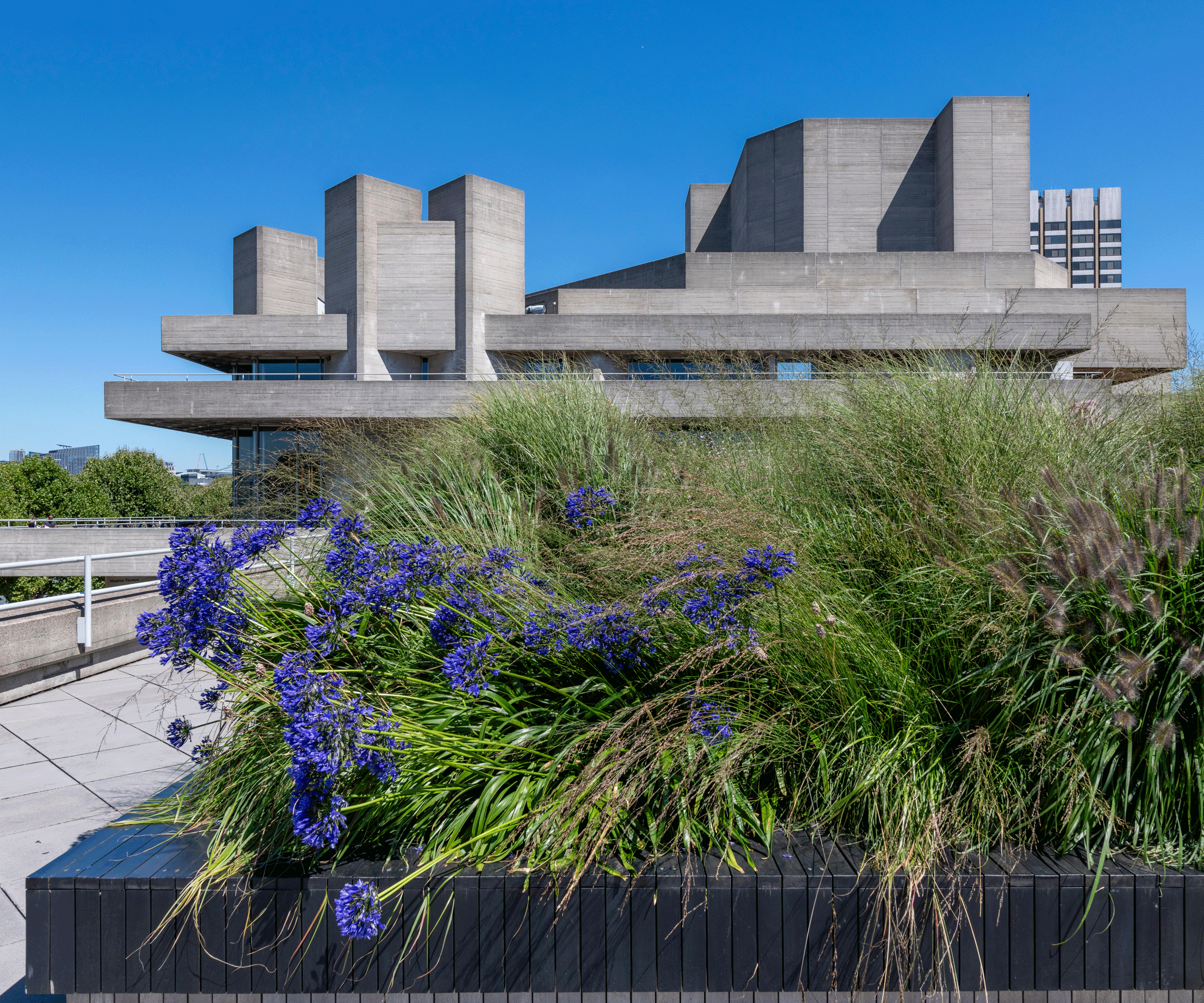 2400x2000 What Is Eco Brutalism? And How To Get The Look. Homes And Gardens