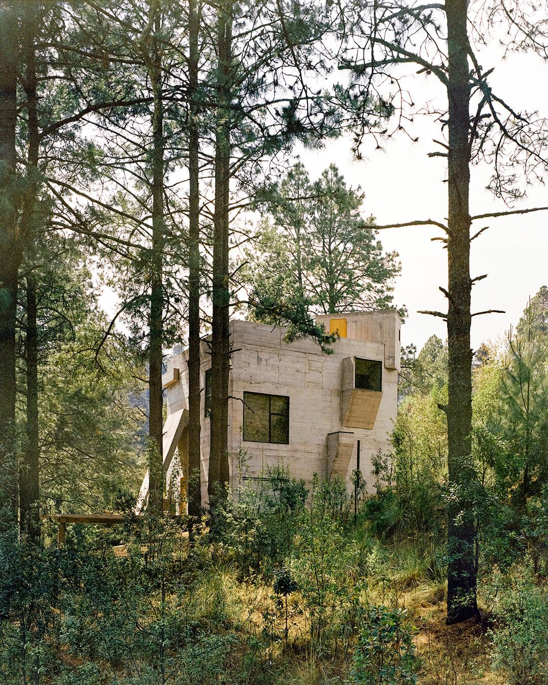 1080x1350 Brutalist Plants' Visually Chronicles Eco Brutalist Aesthetics On A Global Scale