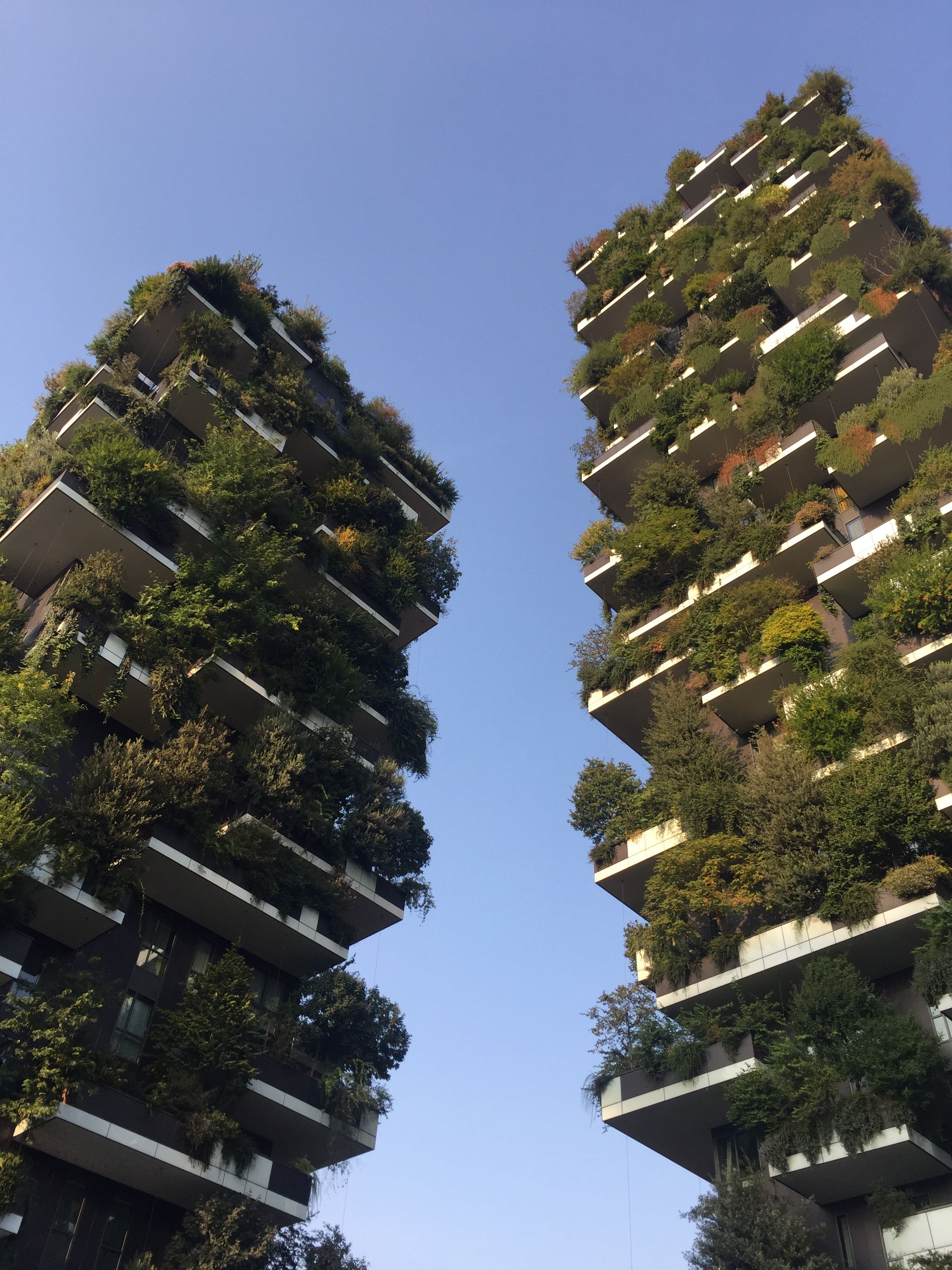2448x3264 Discover 20 eco brutalism and natural brutalism ideas. brutalism, eco brutalism wallpaper, brutalist nature architecture and more